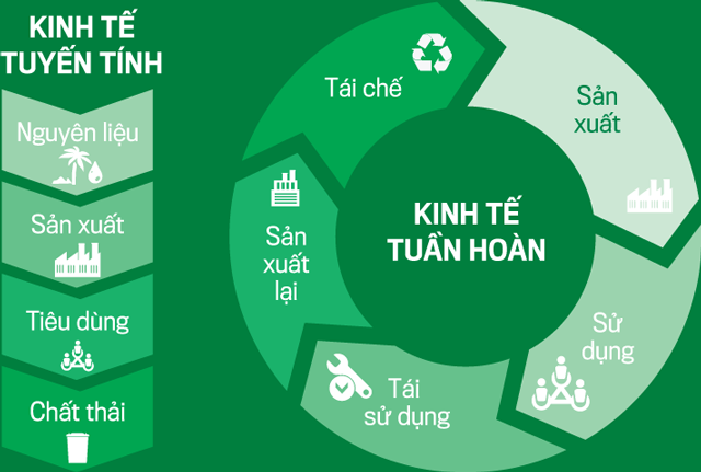 Xu hướng kinh tế tuần hoàn và cơ hội cho ngành logistics