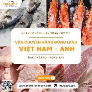 Vận Chuyển Thực Phẩm Đông Lạnh từ Việt Nam sang Anh