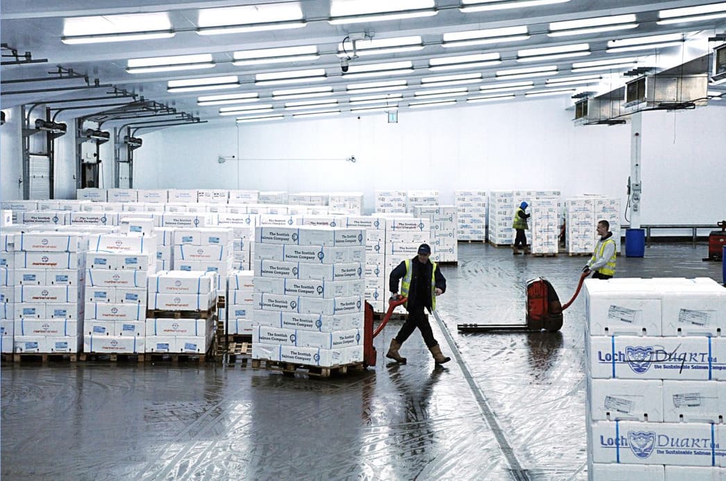 Cold Chain Logistics – Mắt Xích Lạnh Đảm Bảo Chất Lượng Sản Phẩm Cold Chain Logistics – Mắt Xích Lạnh Đảm Bảo Chất Lượng Sản Phẩm