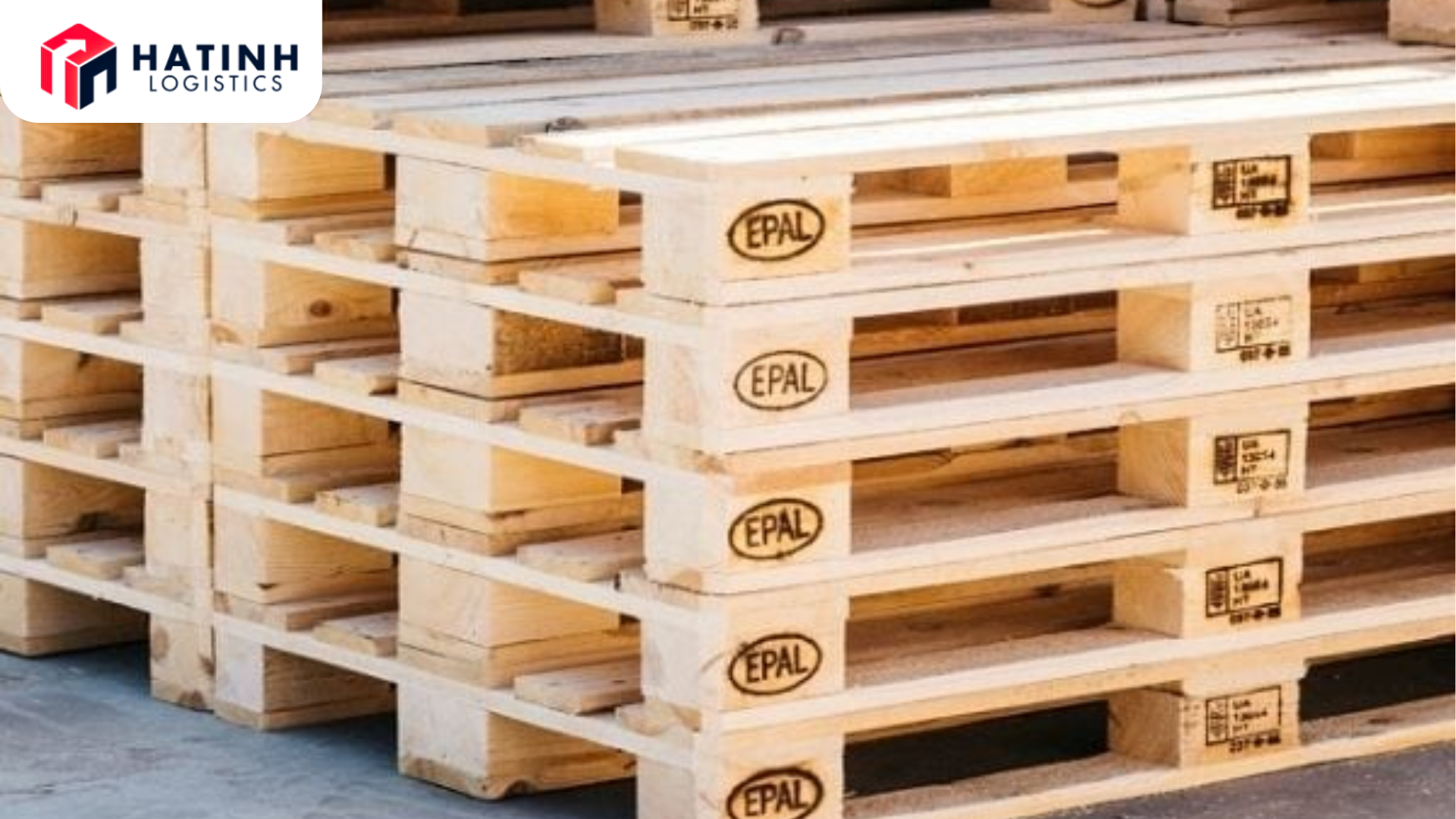 Vận Chuyển Pallet Từ Hồ Chí Minh Đi London: Hướng Dẫn Tối Ưu